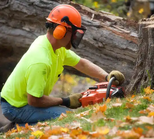 tree services Pearl